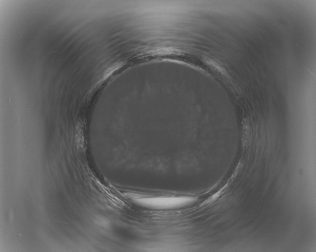 X0000060791305200512011655