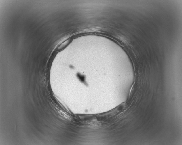 X0000060791308200512011655