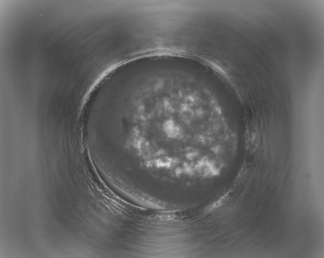 X0000060791310200512011655