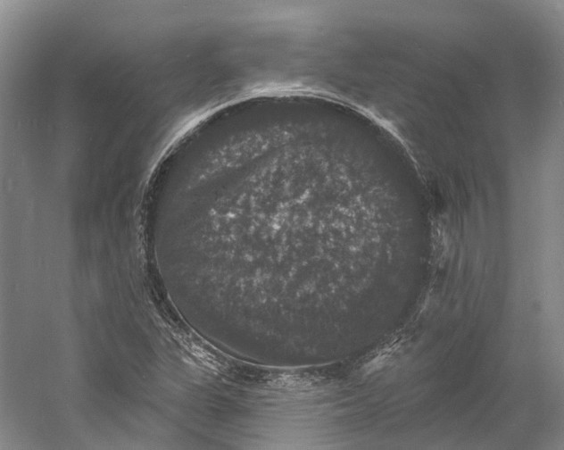 X0000060791311200512011655