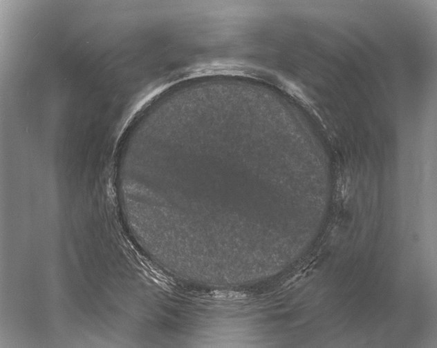 X0000060791312200512011655