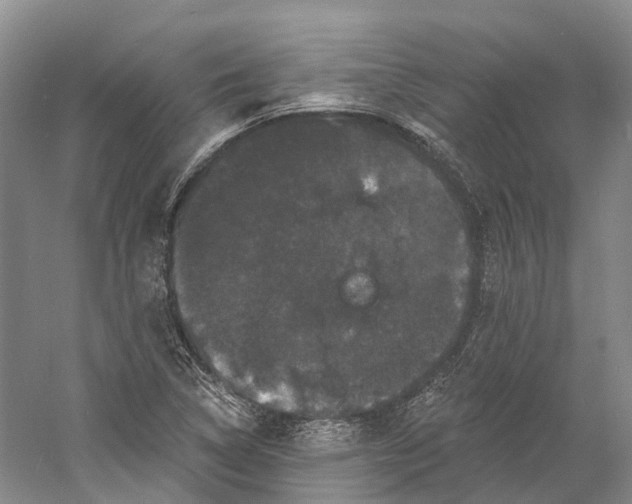 X0000060791314200512011655