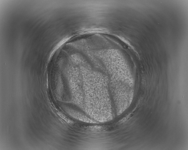 X0000060791317200512011655