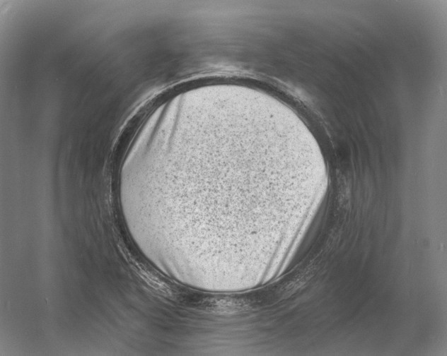 X0000060791318200512011655