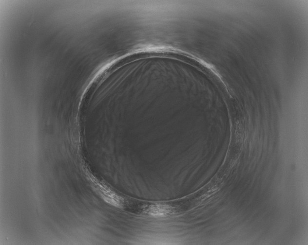 X0000060791319200512011655