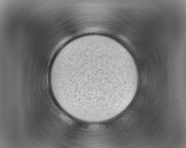 X0000060791322200512011655