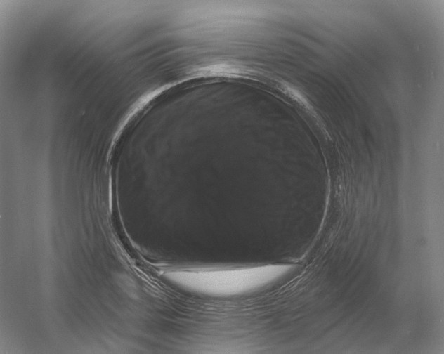 X0000060791323200512011655