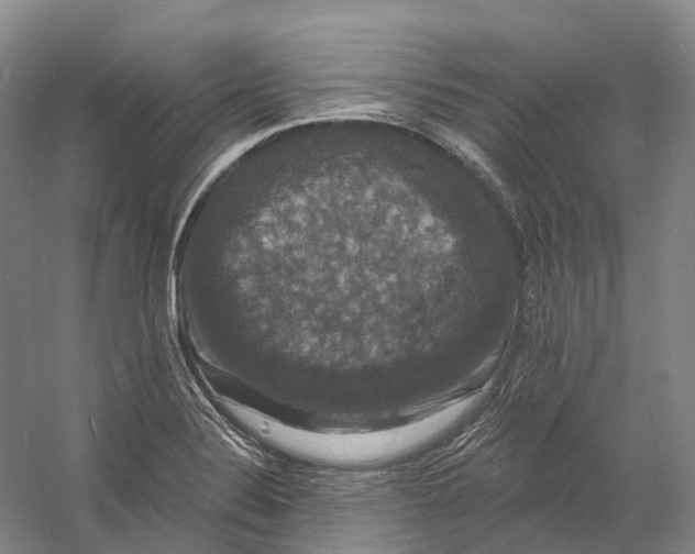 X0000060791324200512011655