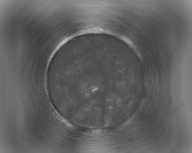 X0000060791326200512011655