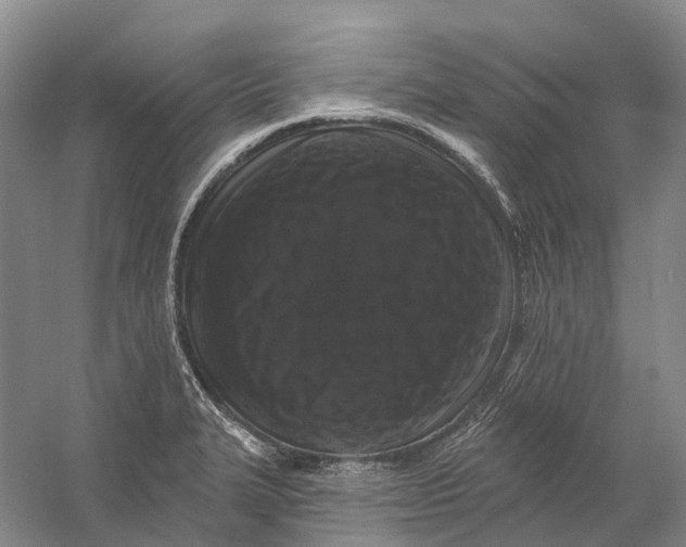 X0000060791327200512011655