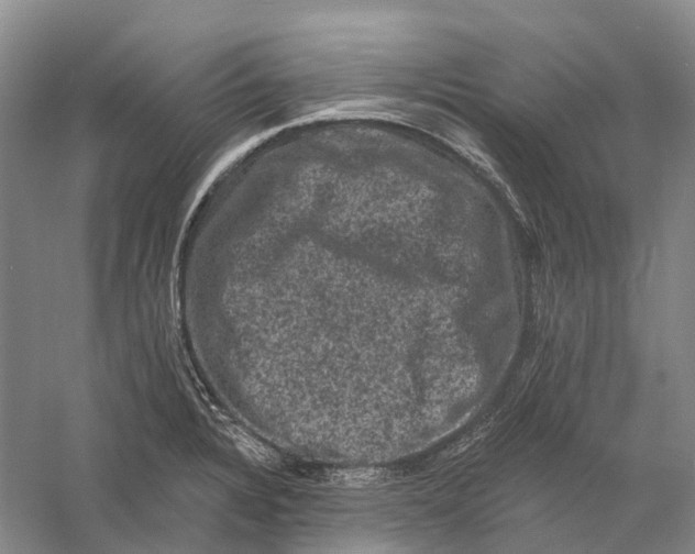 X0000060791328200512011655