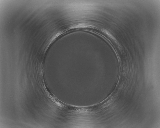 X0000060791329200512011655