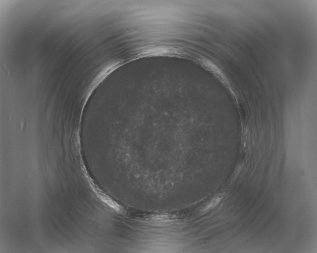 X0000060791330200512011655