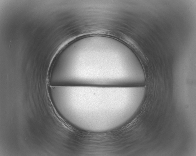 X0000060791332200512011655