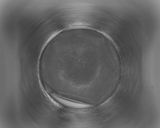 X0000060791333200512011655