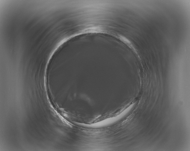 X0000060791334200512011655