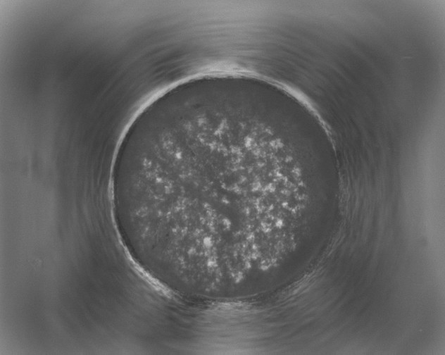 X0000060791335200512011655