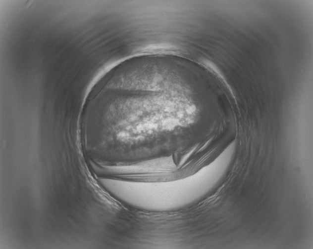 X0000060791336200512011655