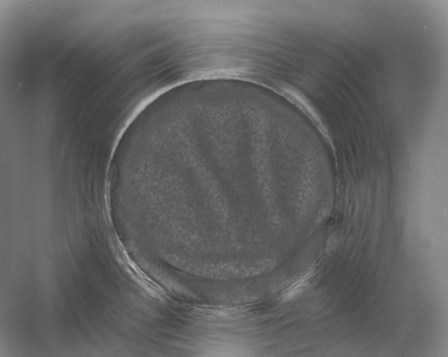 X0000060791340200512011656