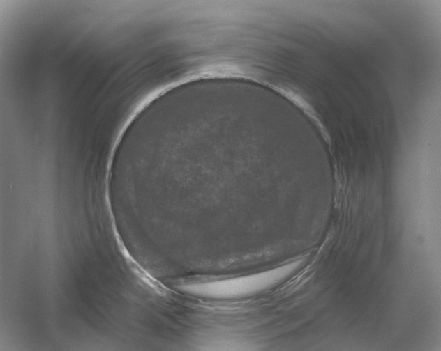 X0000060791342200512011656