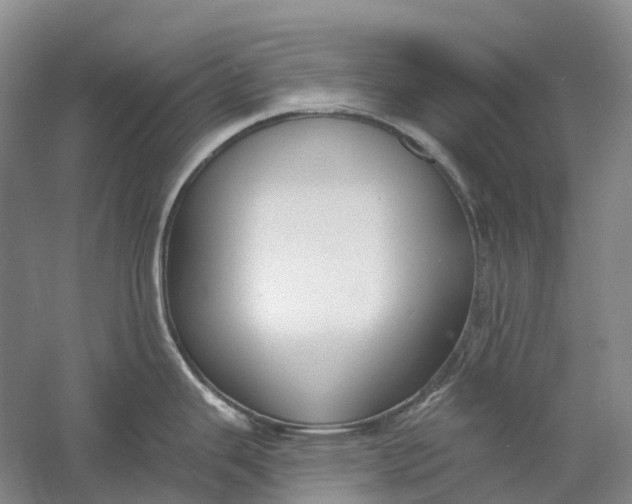 X0000060791343200512011656