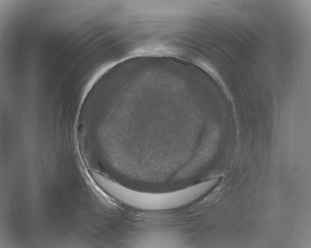 X0000060791344200512011656