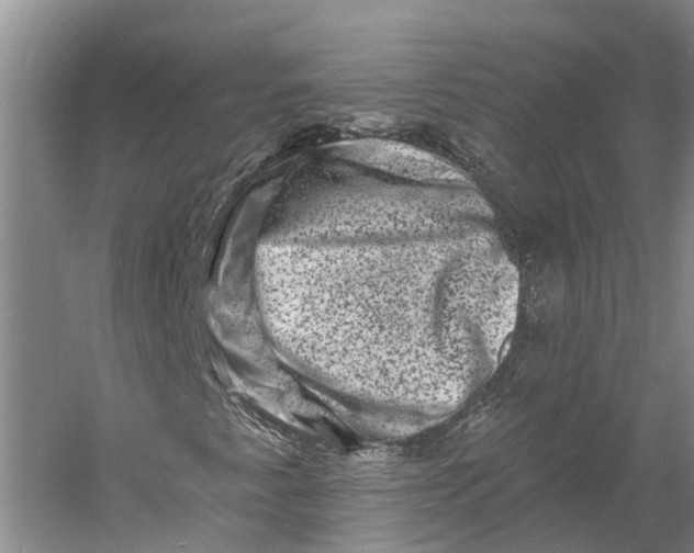 X0000060791345200512011655