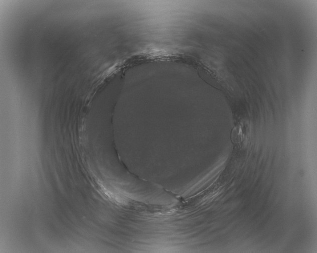 X0000060791348200512011655