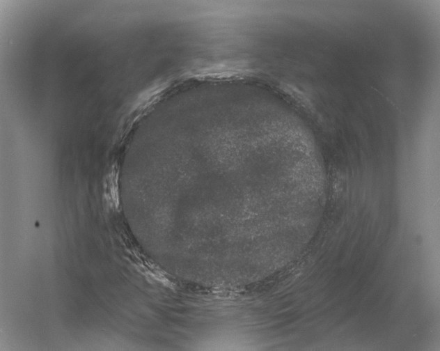 X0000060791350200512011655