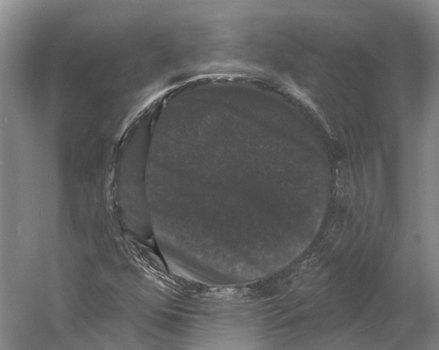 X0000060791352200512011655