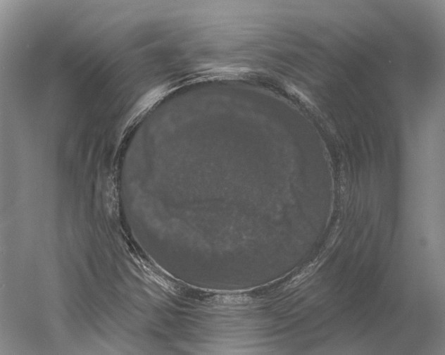 X0000060791354200512011655