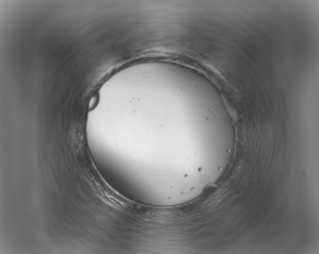 X0000060791355200512011655