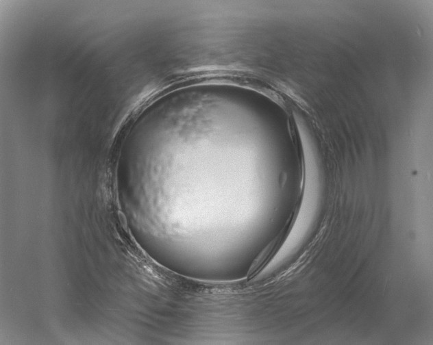 X0000060791357200512011655