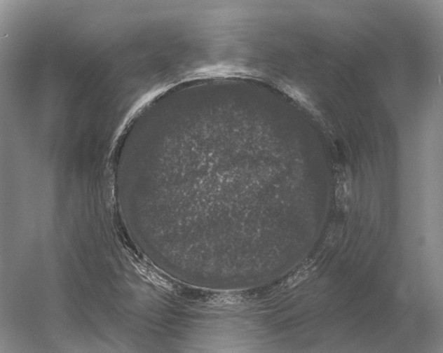 X0000060791358200512011655