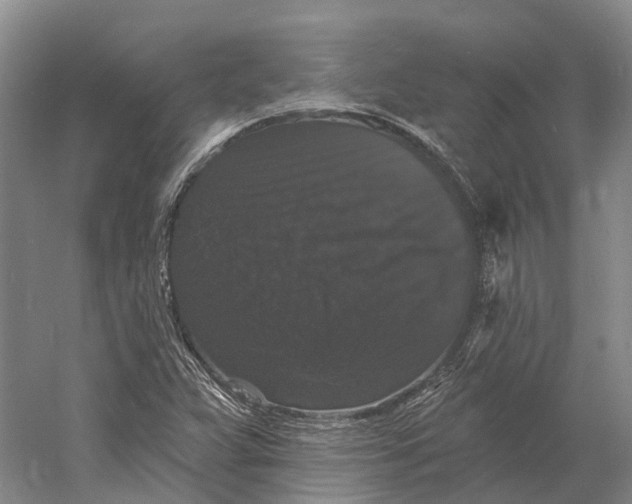 X0000060791359200512011655