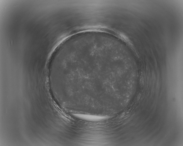 X0000060791360200512011654