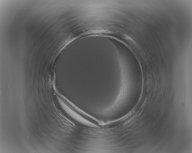 X0000060791361200512011654