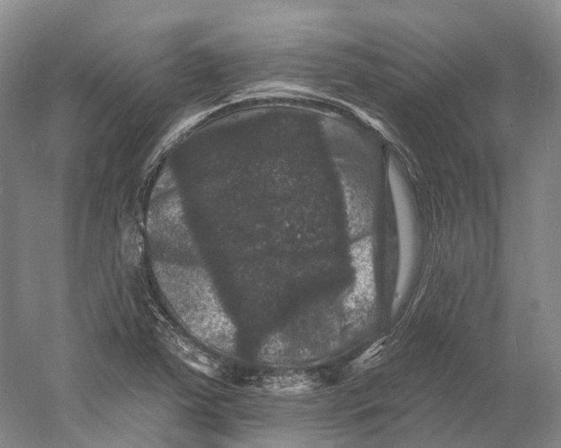 X0000060791363200512011654