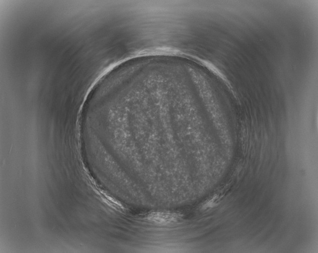 X0000060791364200512011654