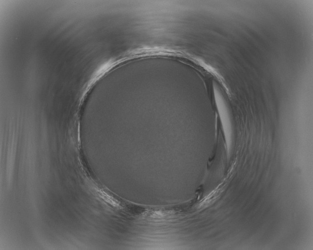 X0000060791365200512011654