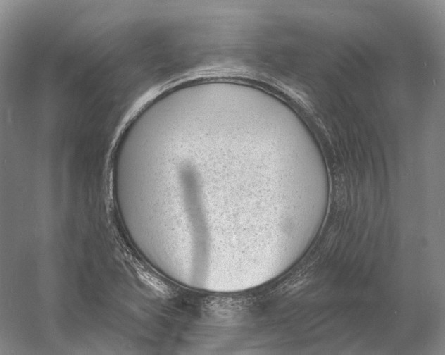 X0000060791366200512011654