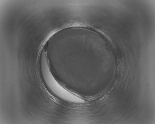 X0000060791367200512011654