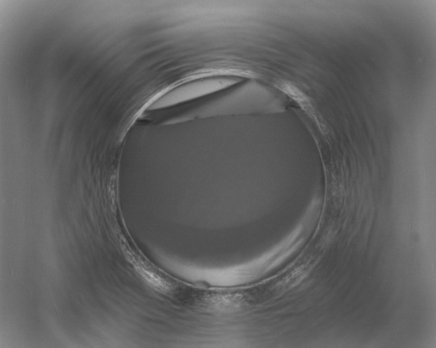 X0000060791369200512011654