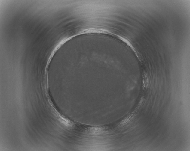 X0000060791371200512011654