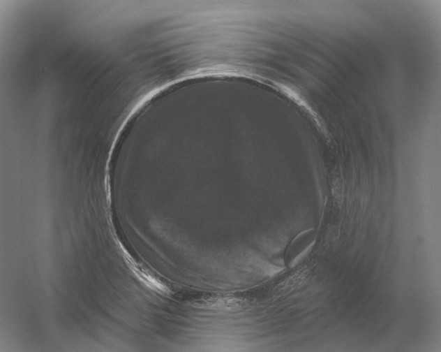 X0000060791372200512011654