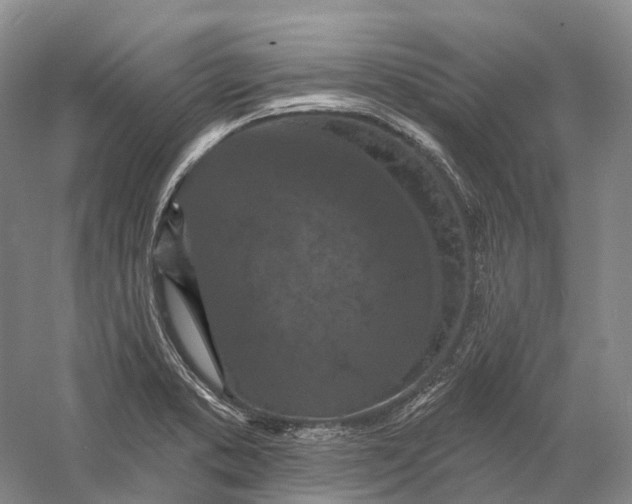 X0000060791373200512011654