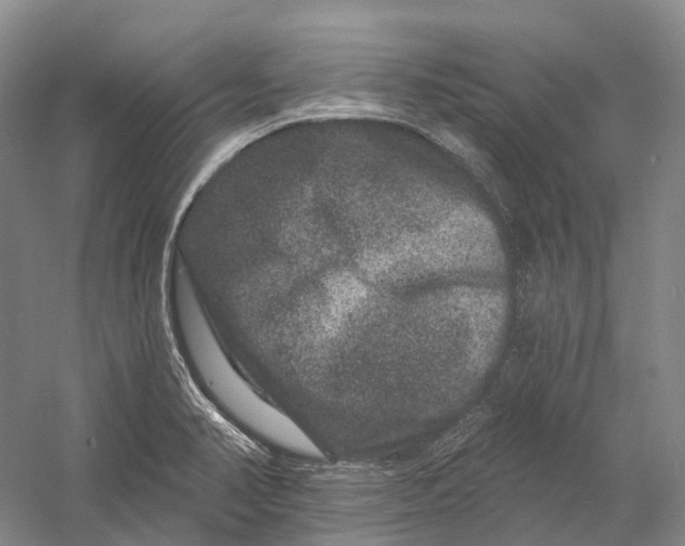 X0000060791374200512011654