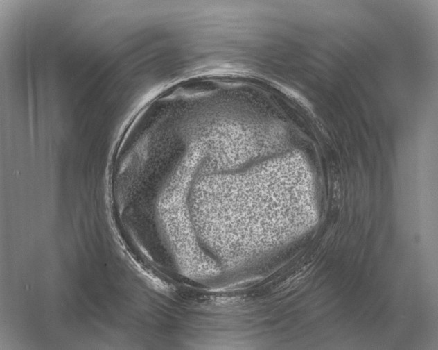 X0000060791375200512011654