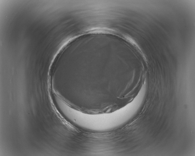 X0000060791376200512011654