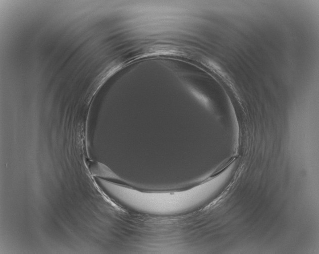 X0000060791377200512011654